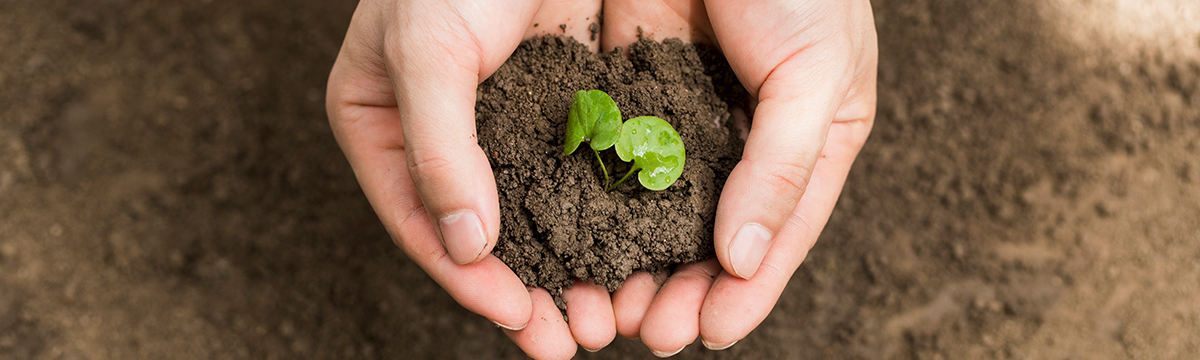 土壤和底質檢測